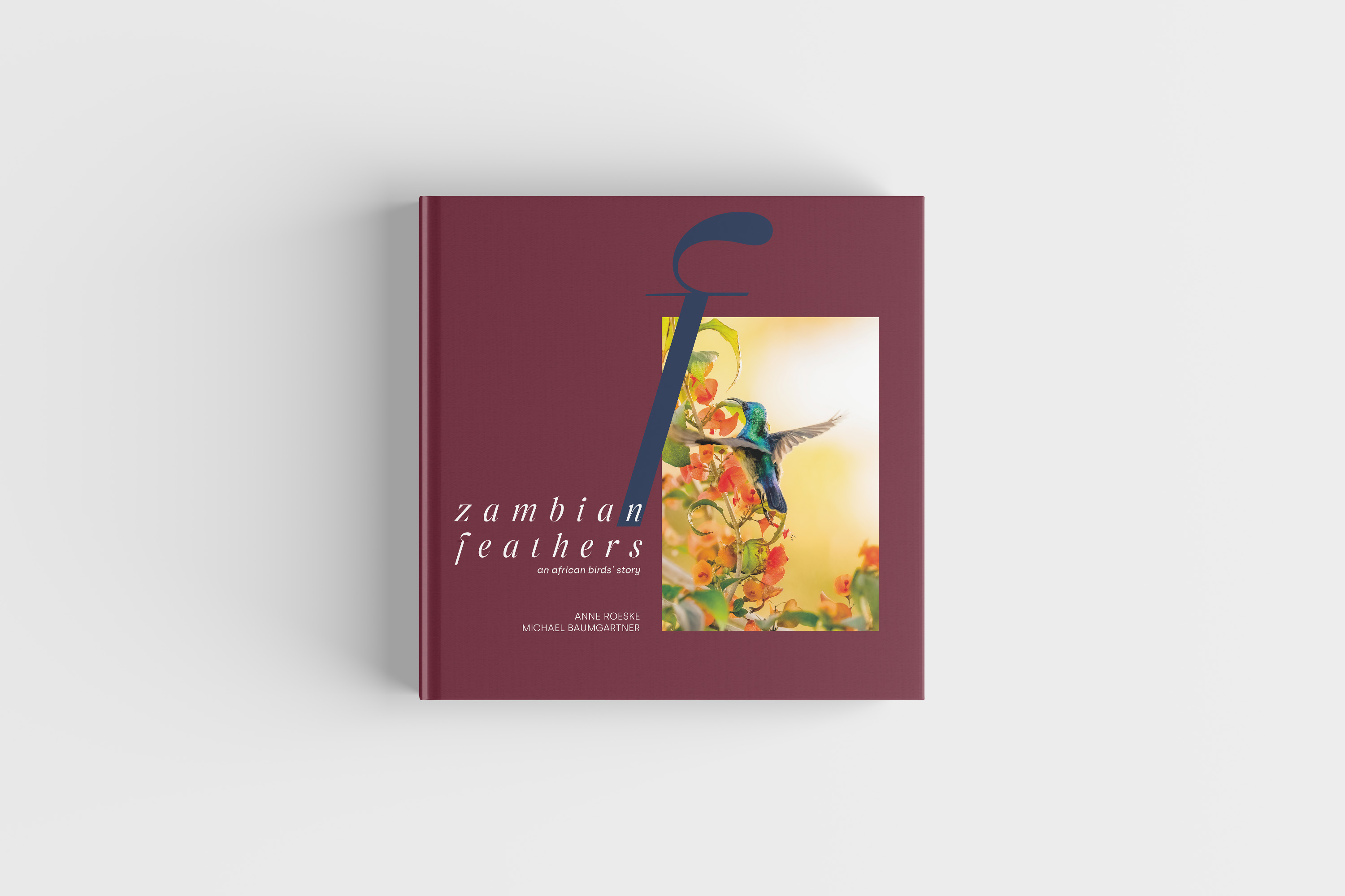 zambianfeathers_mockup_cover