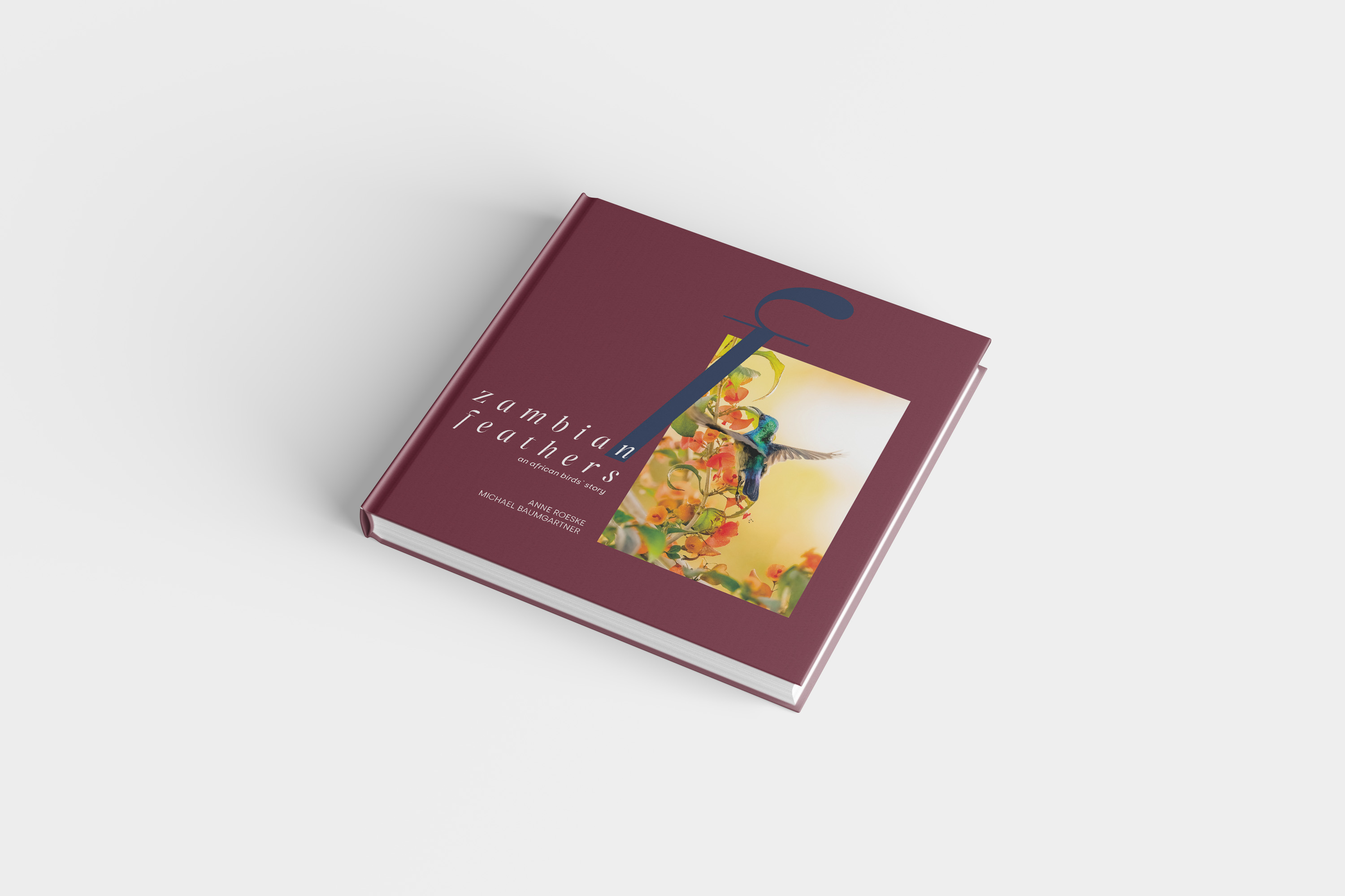 zambianfeathers_mockup_cover2
