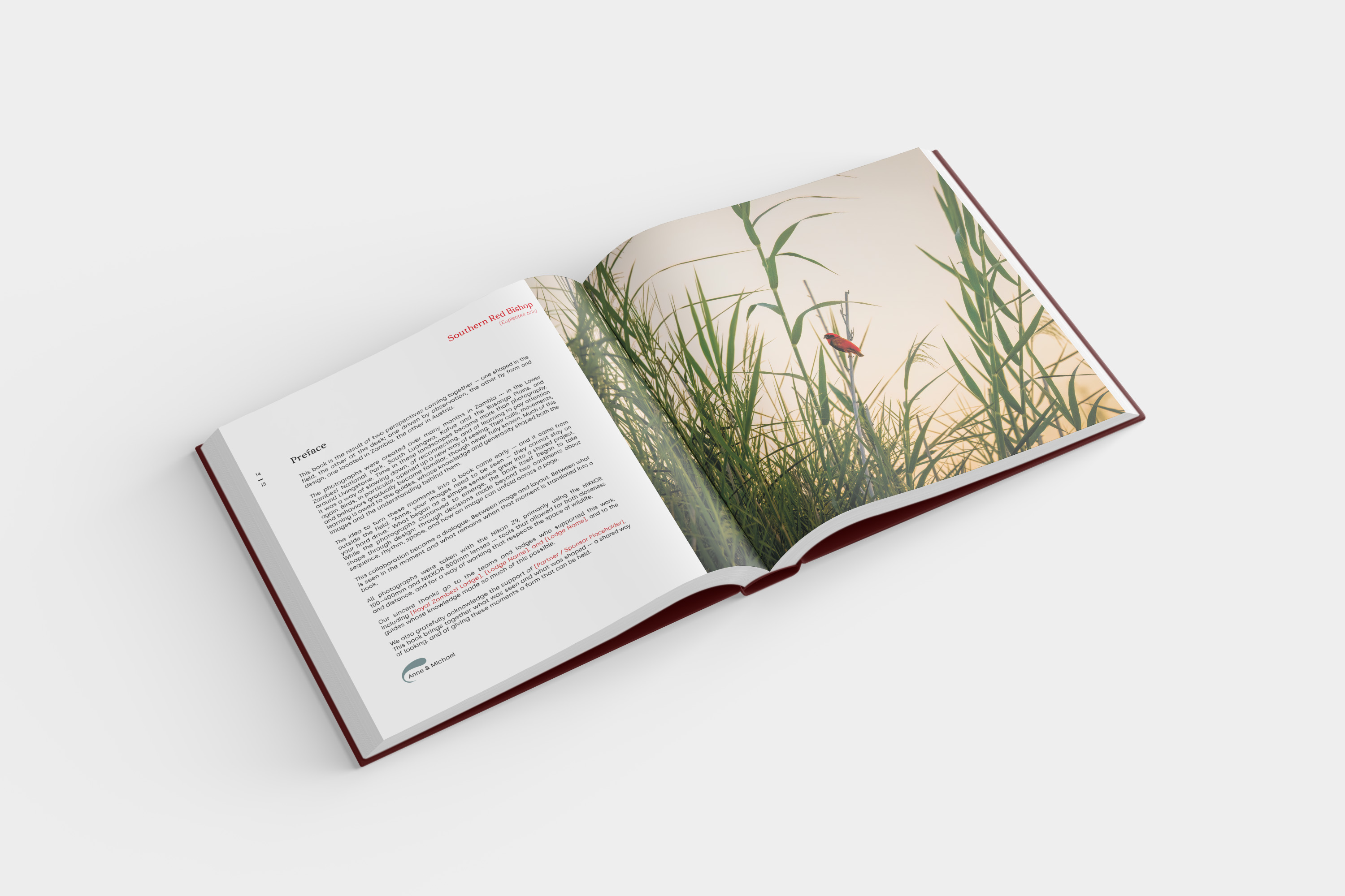 zambianfeathers_mockup_seite_preface