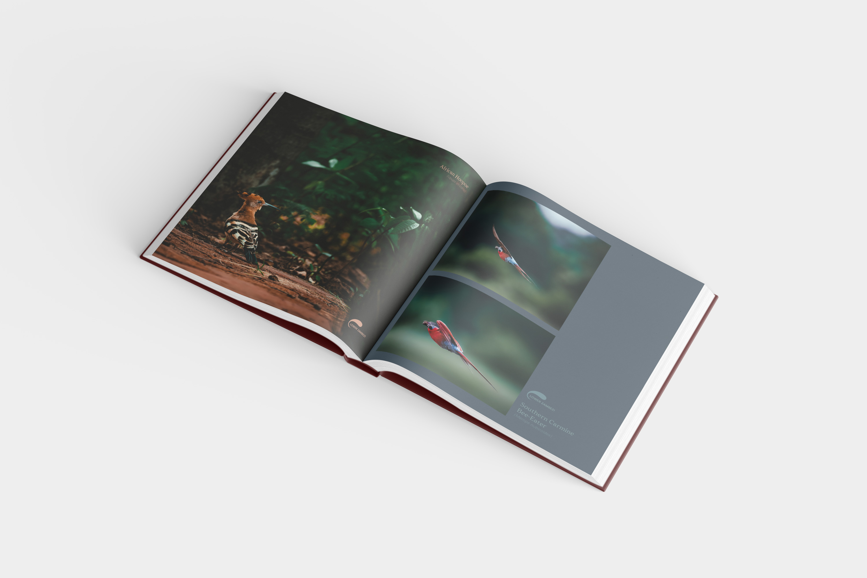 zambianfeathers_mockup_seiten_2_lowerzamb1
